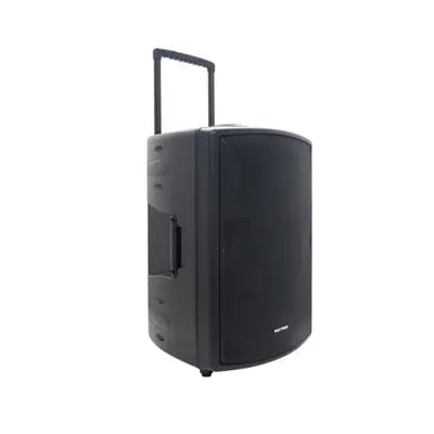 Sound System Polytron PAS PRO15F3